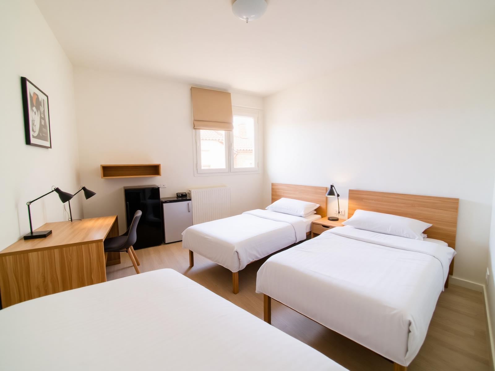 Habitación doble exterior con dos camas, escritorio doble y ventana con vistas a los tejados de Valladolid